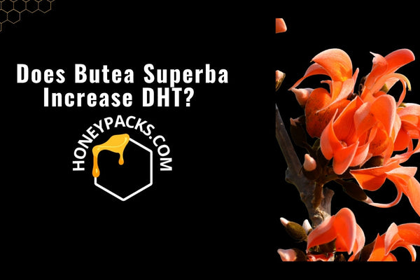 Does Butea Superba Increase DHT? Real Effects Explained