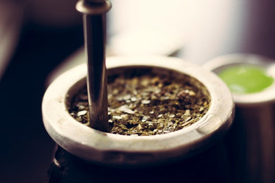 How Is Ginseng Extract Made: A Step-by-Step Guide