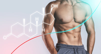 Vitamin D3 Benefits for Men | ED, Testosterone & Libido